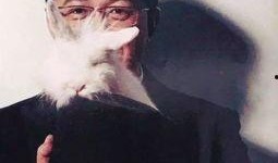 卓伟最新爆料曝光新闻视频